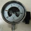 Wika Pressure Gauge Type 232,30,100 front view